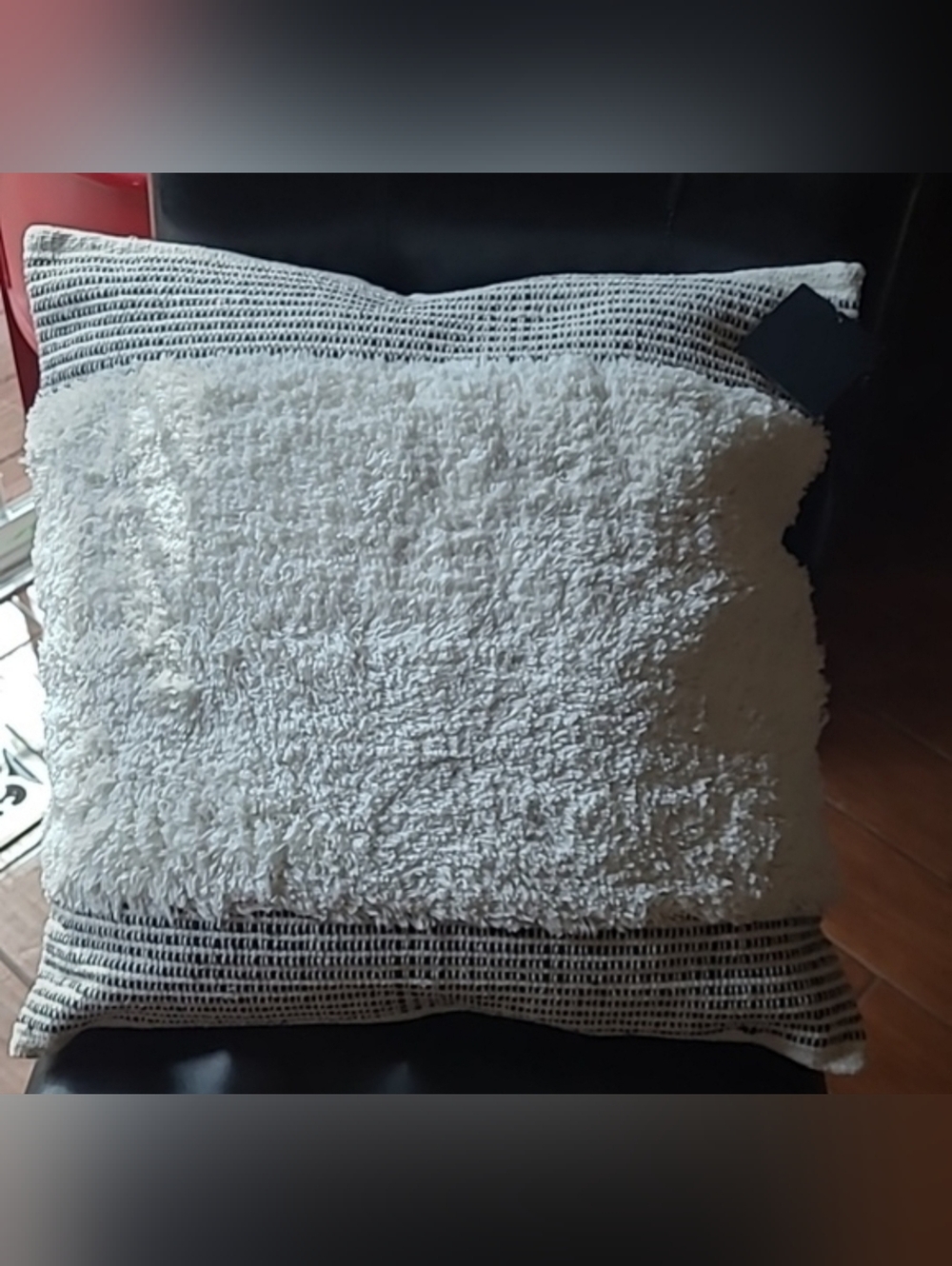 Throw Pillow